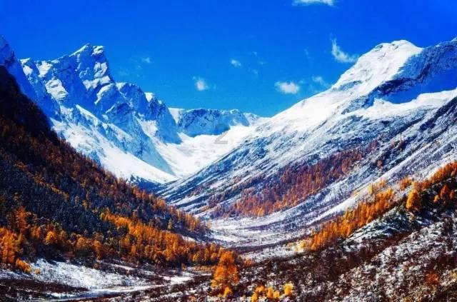 奉节:养猪场臭气扰民 “民生之声”解民忧